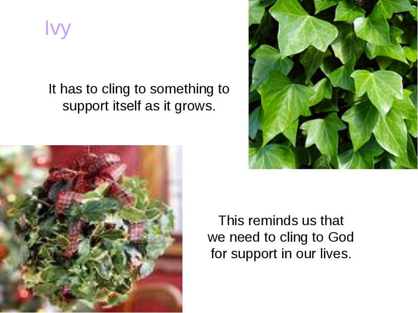 Ivy This reminds us that we need to cling to God for support in our lives. It...