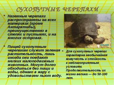 СУХОПУТНЫЕ ЧЕРЕПАХИ Наземные черепахи распространены на всех материках (кроме...