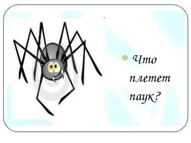 Что плетет паук?