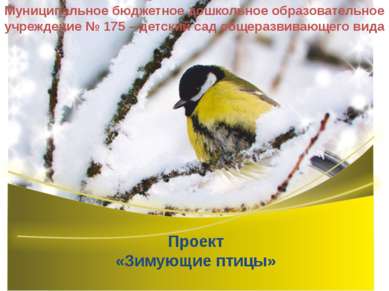 Проект «Зимующие птицы» Муниципальное бюджетное дошкольное образовательное уч...