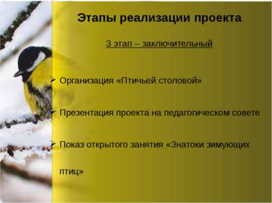 Этапы реализации проекта Организация «Птичьей столовой» Презентация проекта н...
