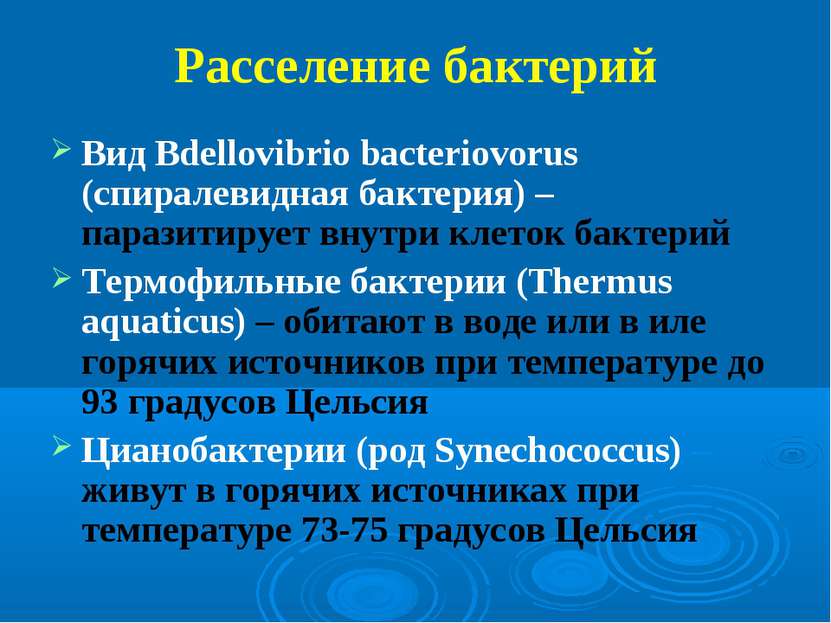 Расселение бактерий Вид Bdellovibrio bacteriovorus (спиралевидная бактерия) –...