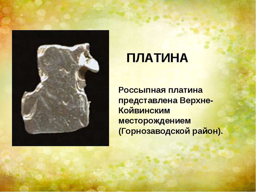 Россыпная платина представлена Верхне-Койвинским месторождением (Горнозаводск...