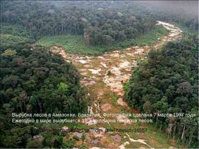 Вырубка лесов в Амазонии, Бразилия. Фотография сделана 7 марта 1997 года. Еже...