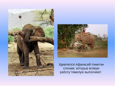 Удивлялся Афанасий Никитин слонам, которые всякую работу тяжелую выполняют.