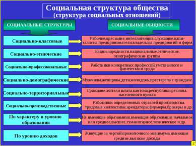 Социальная структура общества (структура социальных отношений) Социально-этни...