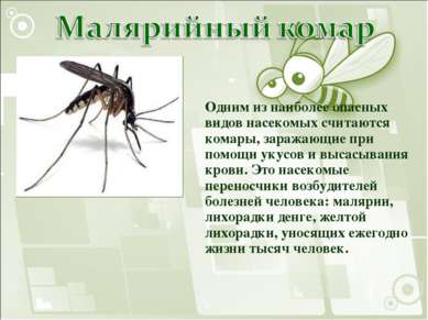 Одним из наиболее опасных видов насекомых считаются комары, заражающие при по...