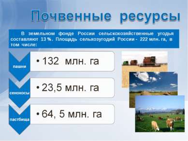 В земельном фонде России сельскохозяйственные угодья составляют 13 %. Площадь...
