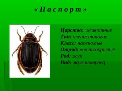 « П а с п о р т » Царство: животные Тип: членистоногие Класс: насекомые Отряд...
