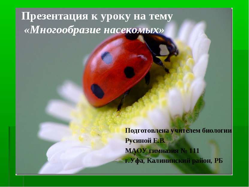 Презентация к уроку на тему «Многообразие насекомых» Подготовлена учителем би...