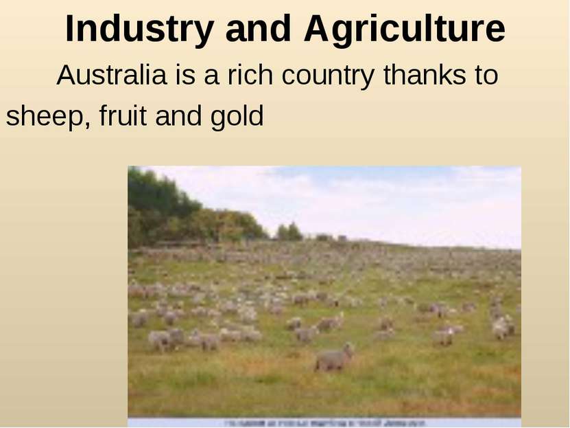 Industry and Agriculture Australia is a rich country thanks to sheep, fruit a...