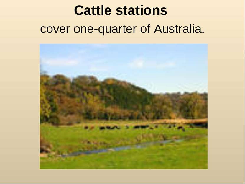 Cattle stations cover one-quarter of Australia.