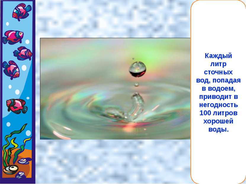 Каждый литр сточных вод, попадая в водоем, приводит в негодность 100 литров х...