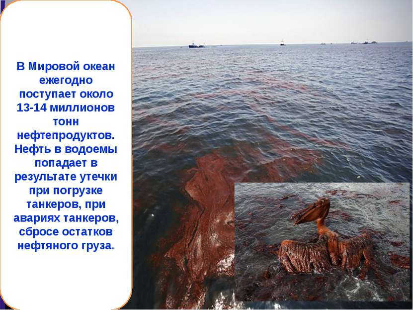 В Мировой океан ежегодно поступает около 13-14 миллионов тонн нефтепродуктов....