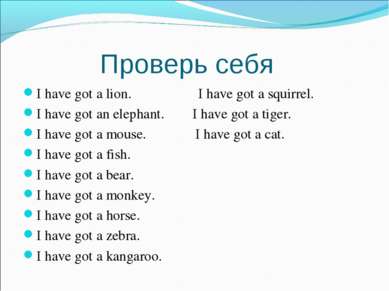 Проверь себя I have got a lion. I have got a squirrel. I have got an elephant...