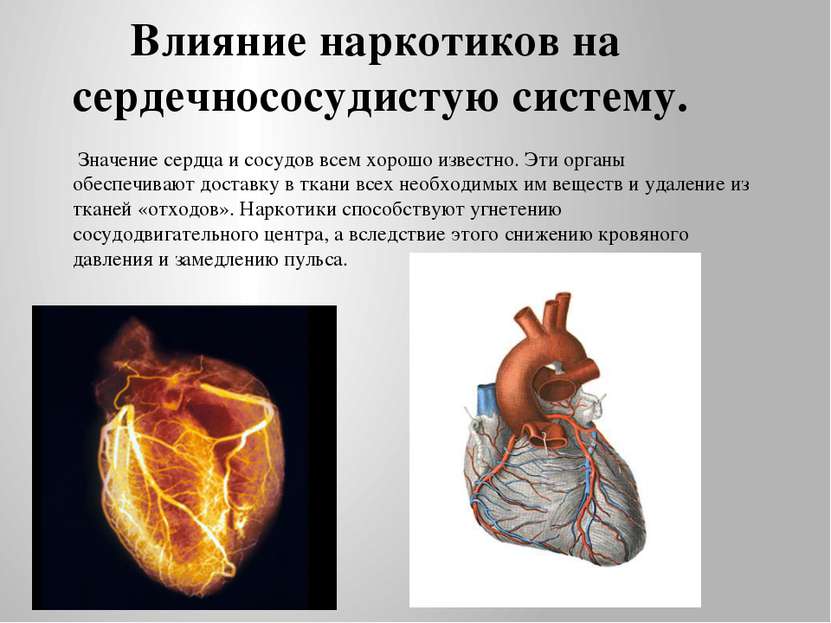 Влияние наркотиков на сердечнососудистую систему. Значение сердца и сосудов в...
