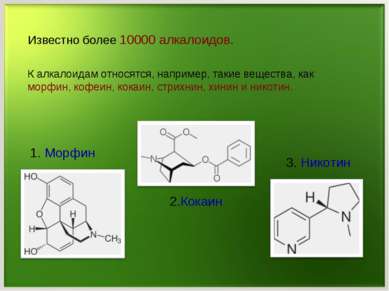 К алкалоидам относятся, например, такие вещества, как морфин, кофеин, кокаин,...