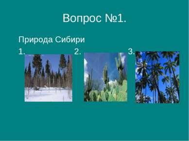 Вопрос №1. Природа Сибири 1. 2. 3.