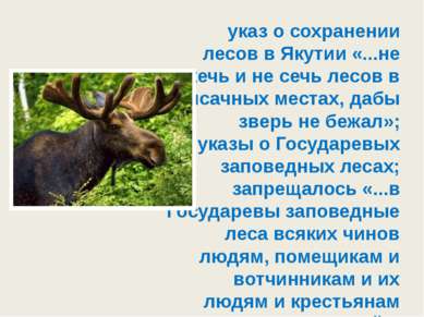 указ о сохранении лесов в Якутии «...не жечь и не сечь лесов в ясачных местах...