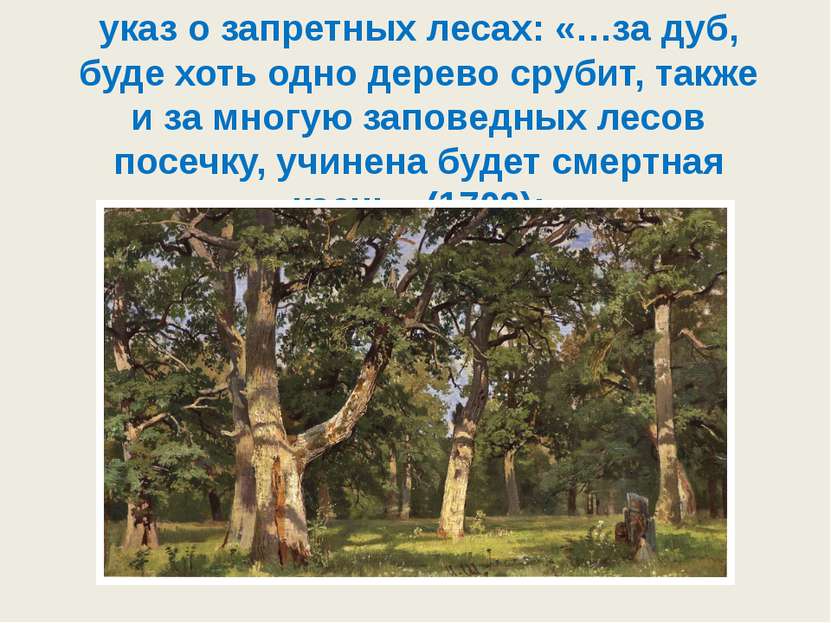 указ о запретных лесах: «…за дуб, буде хоть одно дерево срубит, также и за мн...