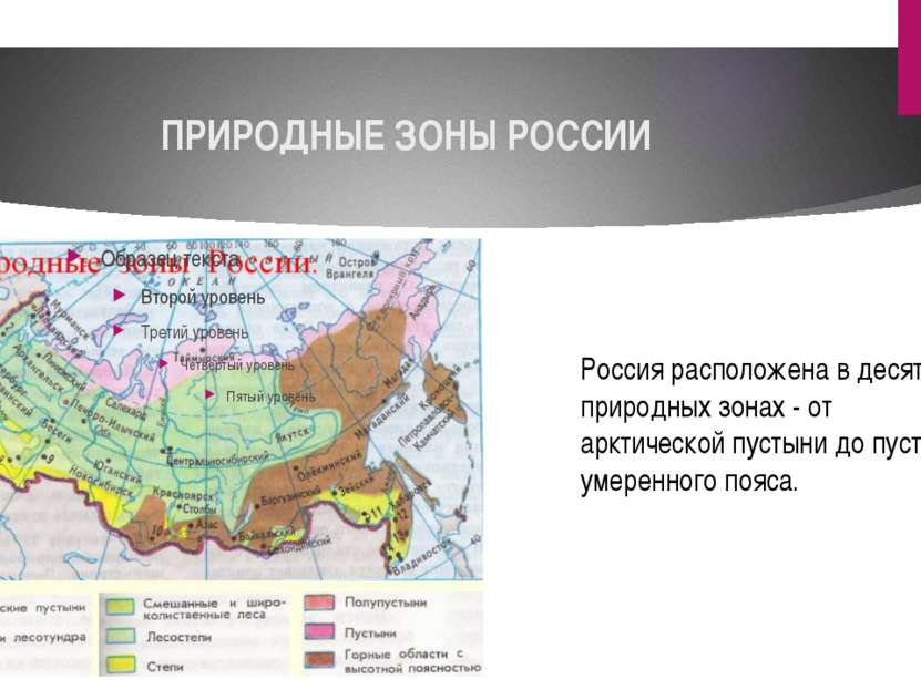 ПРИРОДНЫЕ ЗОНЫ РОССИИ Россия расположена в десяти природных зонах - от арктич...
