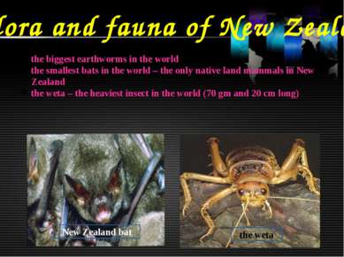 Flora and fauna of New Zealand the biggest earthworms in the world the smalle...