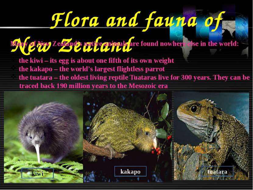 Flora and fauna of New Zealand Many of New Zealand’s native animals are found...