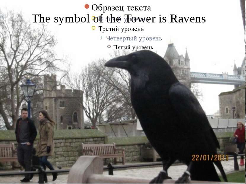 The symbol of the Tower is Ravens