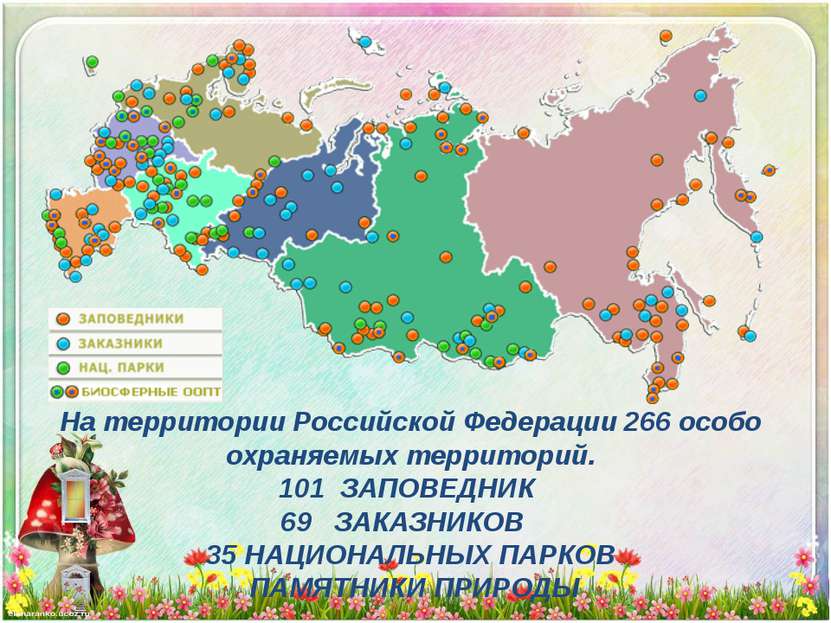 На территории Российской Федерации 266 особо охраняемых территорий. 101 ЗАПОВ...