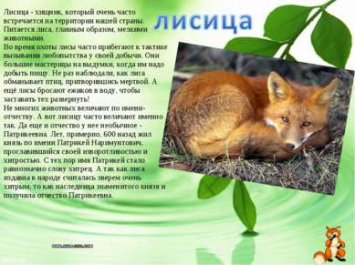 Лисица - хищник, который очень часто встречается на территории нашей страны. ...