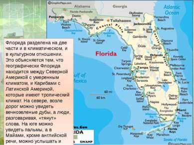 Флорида разделена на две части и в климатическом, и в культурном отношении. Э...