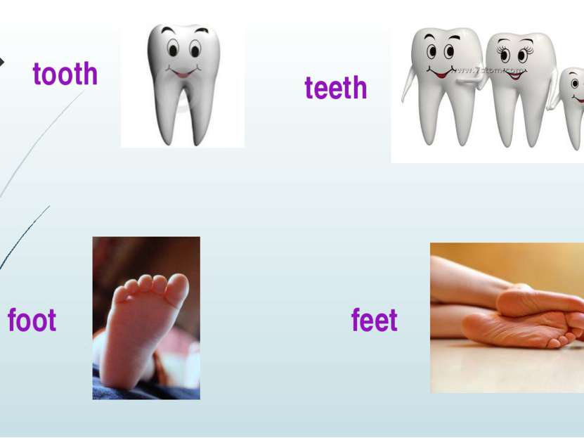 tooth teeth foot feet