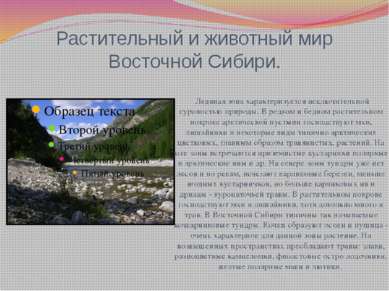 Растительный и животный мир Восточной Сибири. Ледяная зона характеризуется ис...
