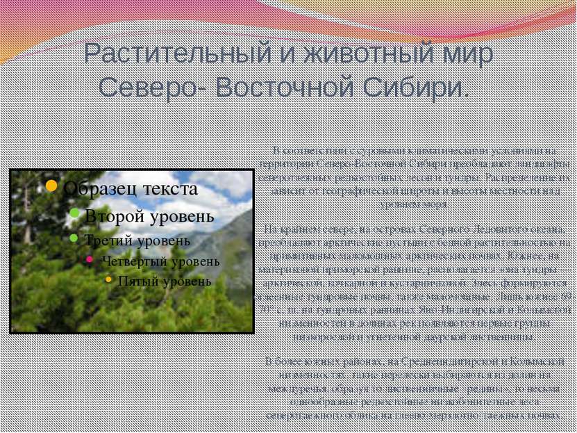 Растительный и животный мир Северо- Восточной Сибири. В соответствии с суровы...