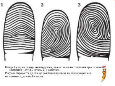 Каждый узор на пальце индивидуален, но составлен из сочетания трех основных э...