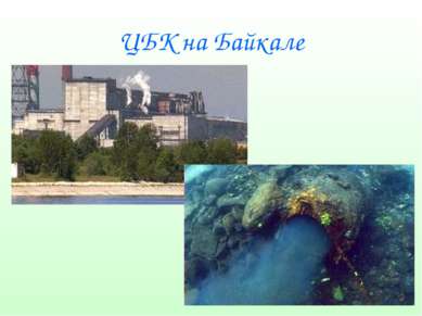 ЦБК на Байкале