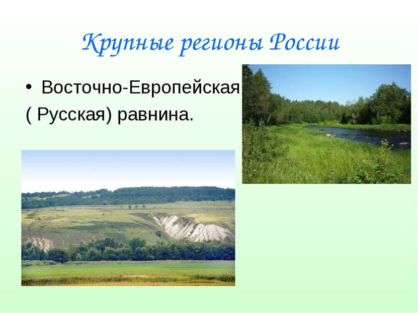 Крупные регионы России Восточно-Европейская ( Русская) равнина.