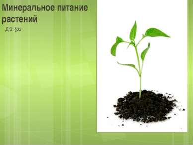 Минеральное питание растений Д/З: §33