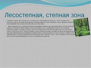 Лесостепная, степная зона охватывает южную часть Омской и юго-западную часть ...