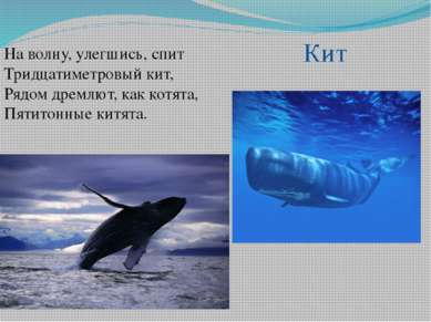 На волну, улегшись, спит Тридцатиметровый кит, Рядом дремлют, как котята, Пят...