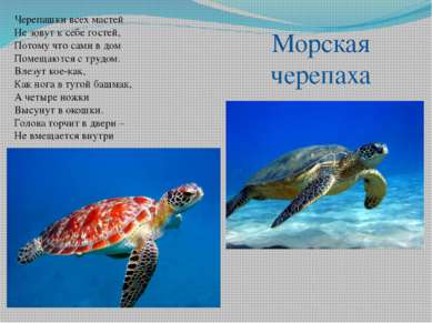 Черепашки всех мастей Не зовут к себе гостей, Потому что сами в дом Помещаютс...