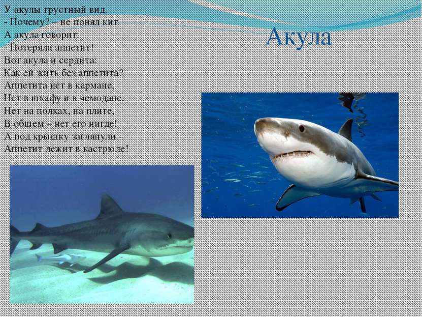 У акулы грустный вид. - Почему? – не понял кит. А акула говорит: - Потеряла а...