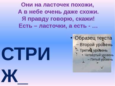 Они на ласточек похожи, А в небе очень даже схожи. Я правду говорю, скажи! Ес...