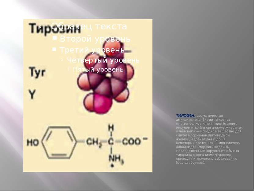 ТИРОЗИН, ароматическая аминокислота. Входит в состав многих белков и пептидов...