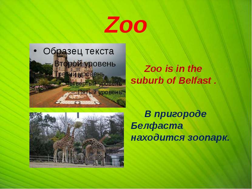 Zoo Zoo is in the suburb of Belfast . В пригороде Белфаста находится зоопарк.