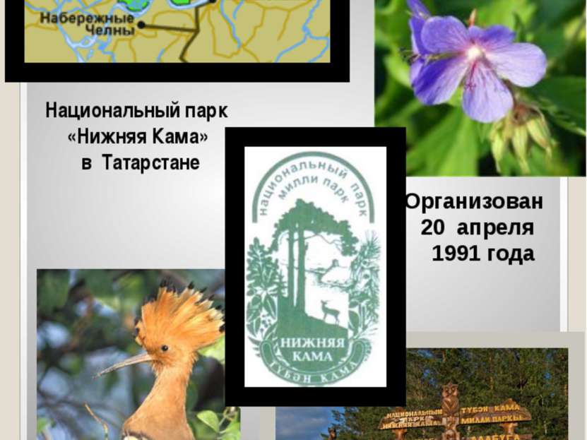 Площадь 26601 га Организован 20 апреля 1991 года Национальный парк «Нижняя Ка...