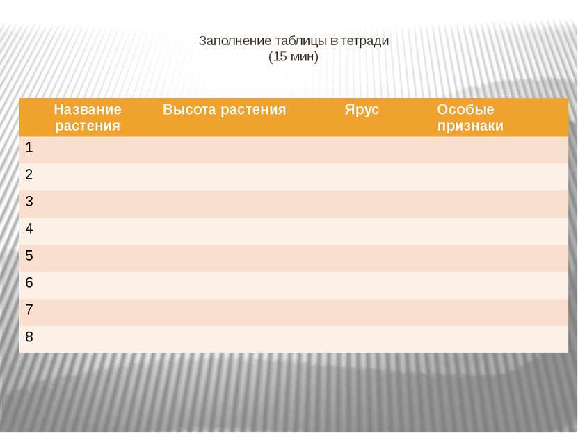 Заполнение таблицы в тетради (15 мин) Название растения Высота растения Ярус ...