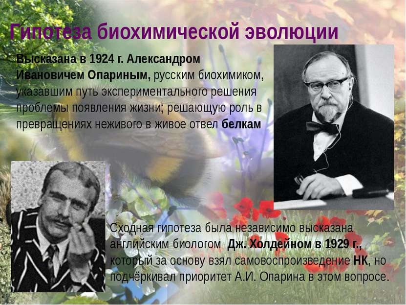 Гипотеза биохимической эволюции Высказана в 1924 г. Александром Ивановичем Оп...