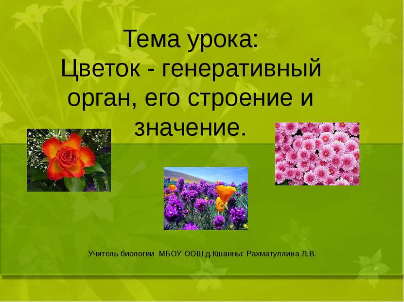 Тема урока: Цветок - генеративный орган, его строение и значение. Учитель био...