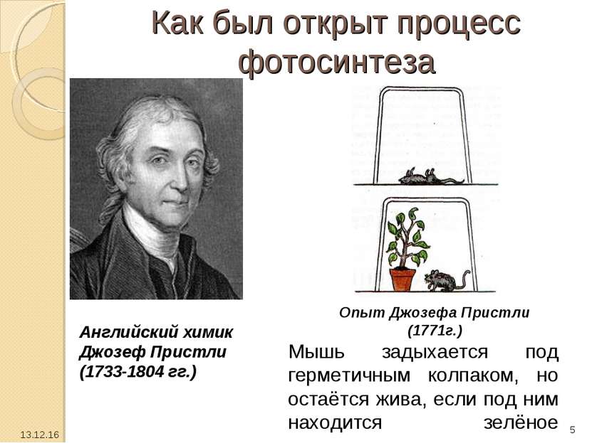 Как был открыт процесс фотосинтеза Английский химик Джозеф Пристли (1733-1804...